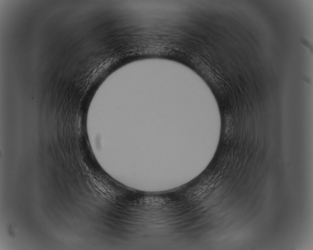 X0000097460636200803201427