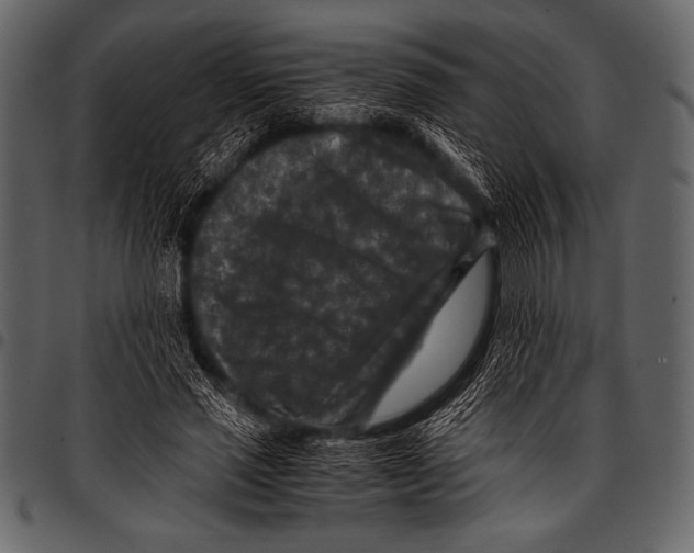 X0000097460637200803201427