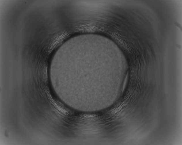 X0000097460638200803201427