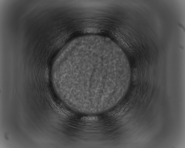 X0000097460639200803201427