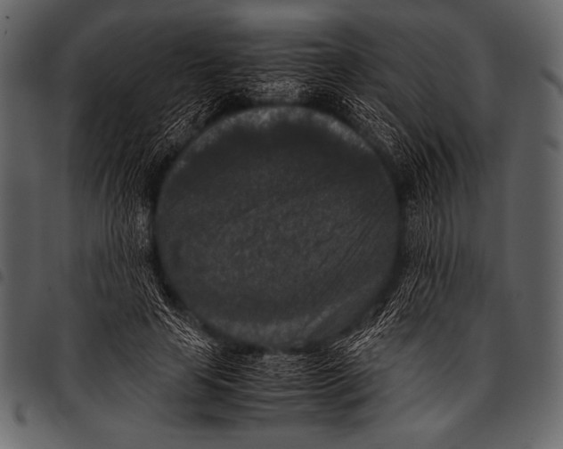 X0000097460641200803201427