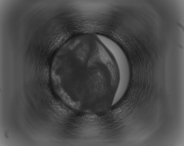 X0000097460642200803201427