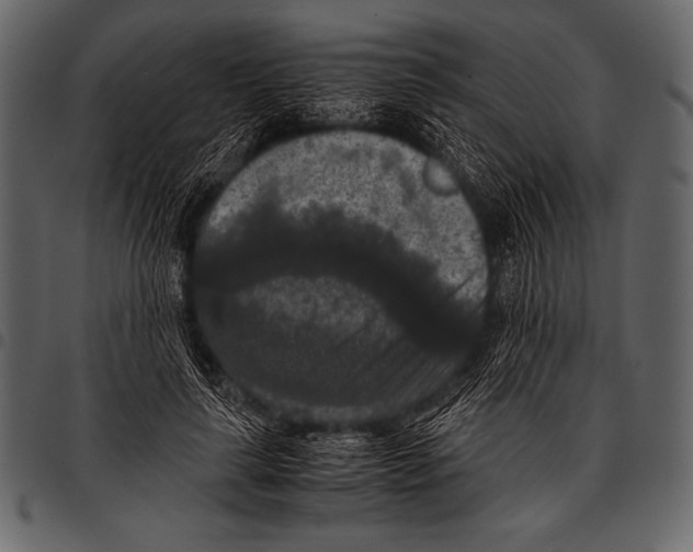 X0000097460643200803201427