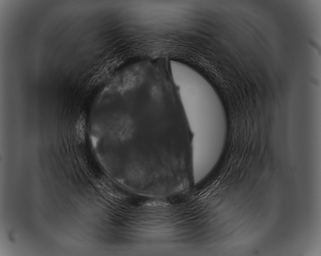 X0000097460644200803201427