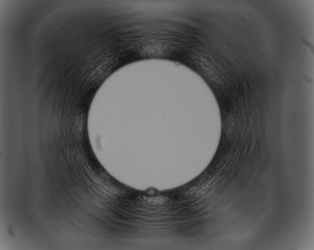 X0000097460645200803201427