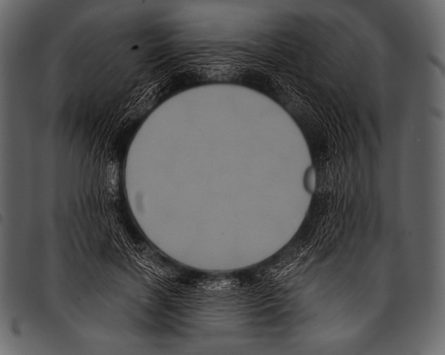 X0000097460646200803201427