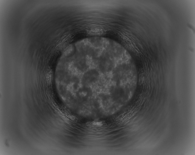 X0000097460647200803201427