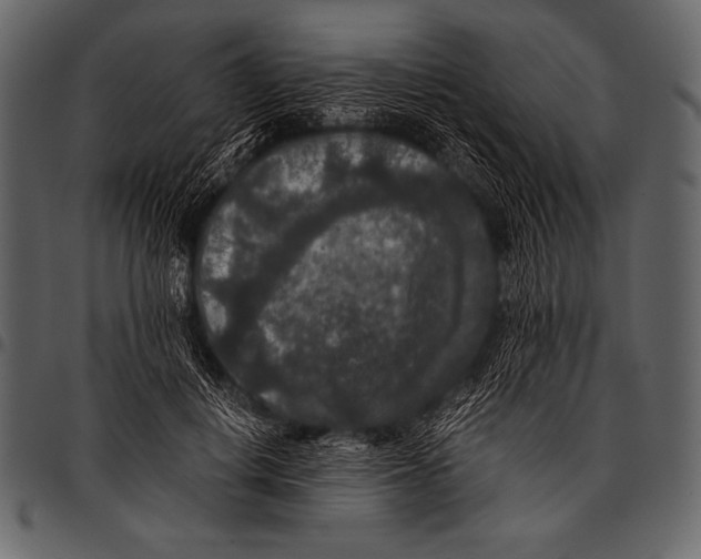 X0000097460648200803201427