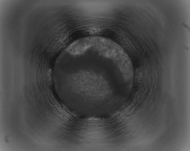 X0000097460650200803201427