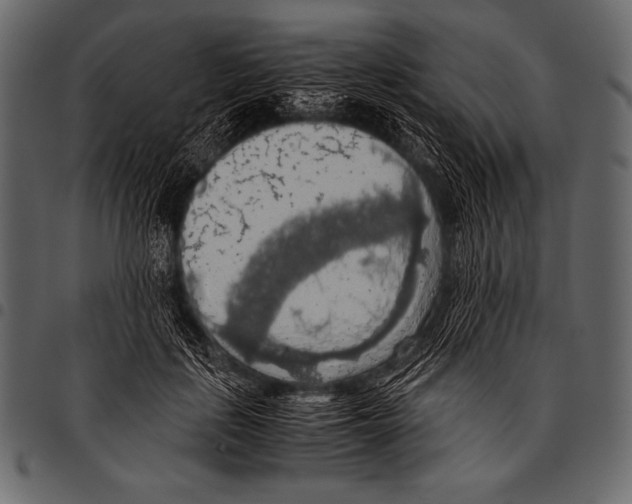 X0000097460651200803201427