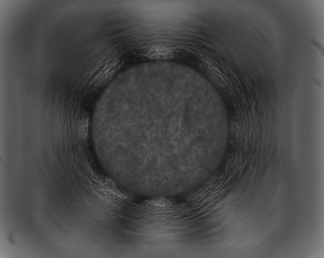 X0000097460652200803201427