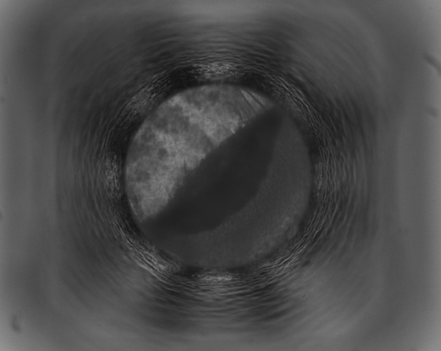 X0000097460653200803201427