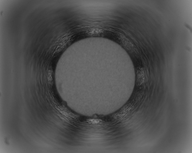 X0000097460654200803201427