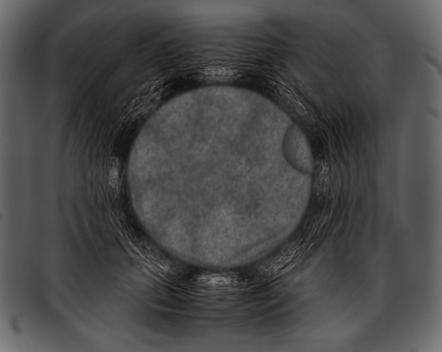 X0000097460655200803201427