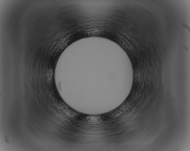 X0000097460660200803201427