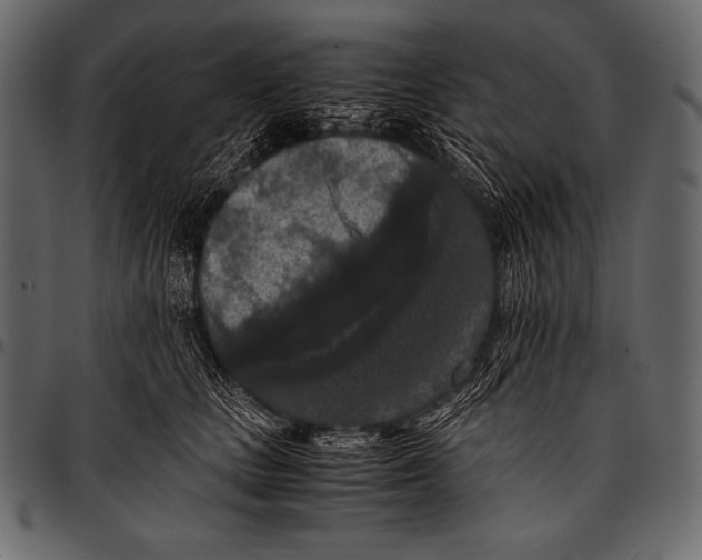 X0000097460661200803201427