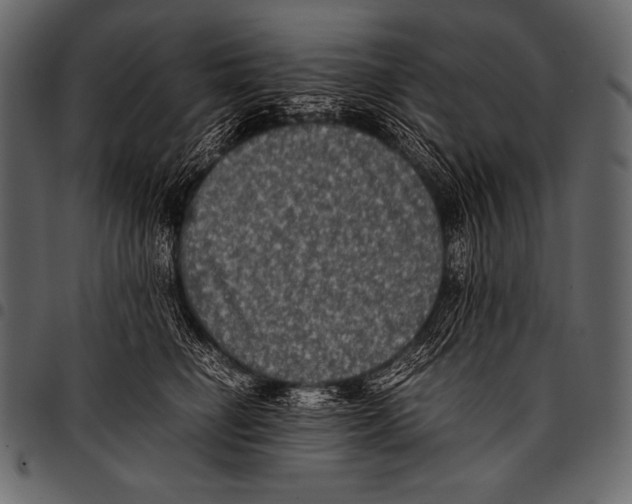 X0000097460662200803201427