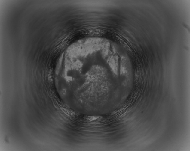 X0000097460663200803201427