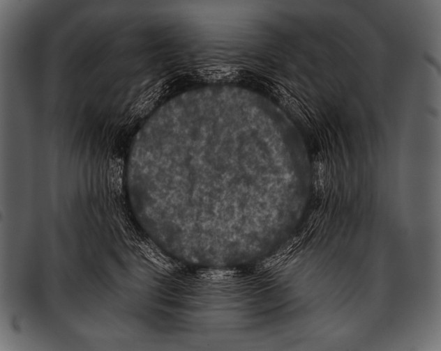 X0000097460664200803201427