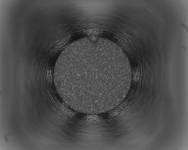 X0000097460666200803201427