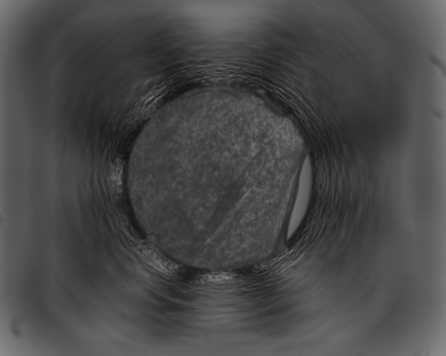 X0000097460668200803201427