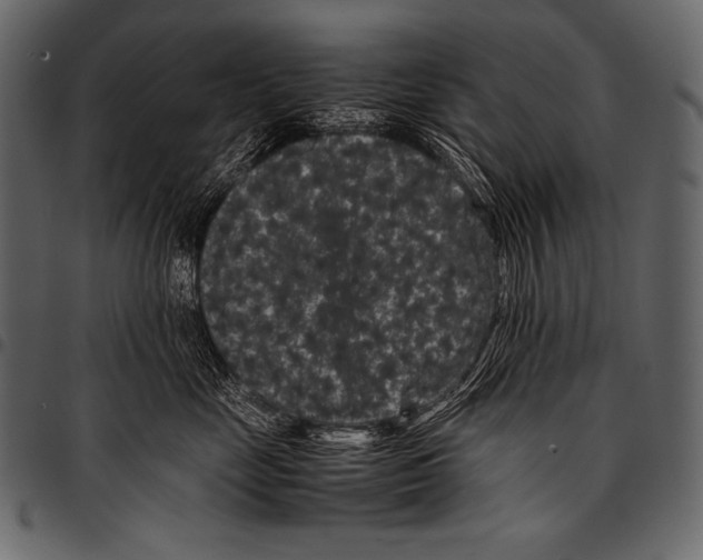 X0000097460669200803201427