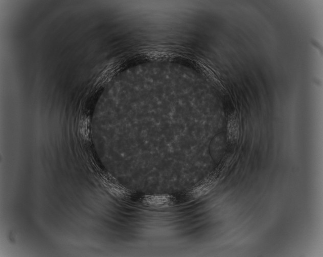 X0000097460671200803201427