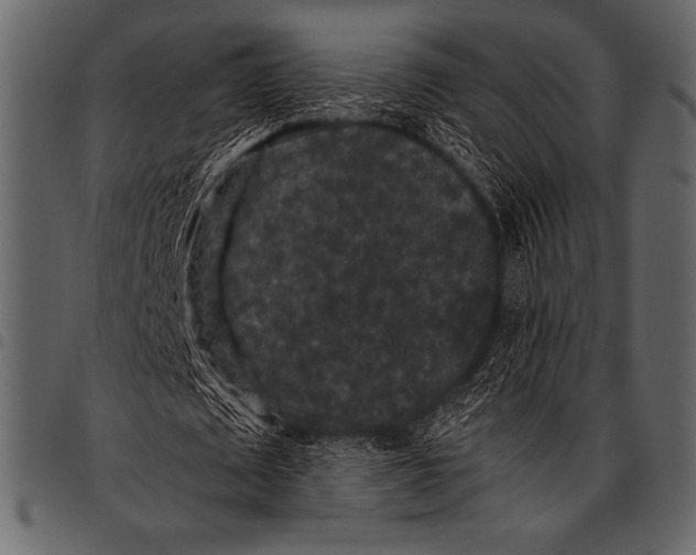 X0000097460673200803201427