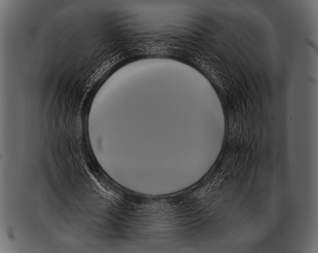 X0000097460674200803201427