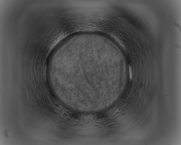 X0000097460675200803201427