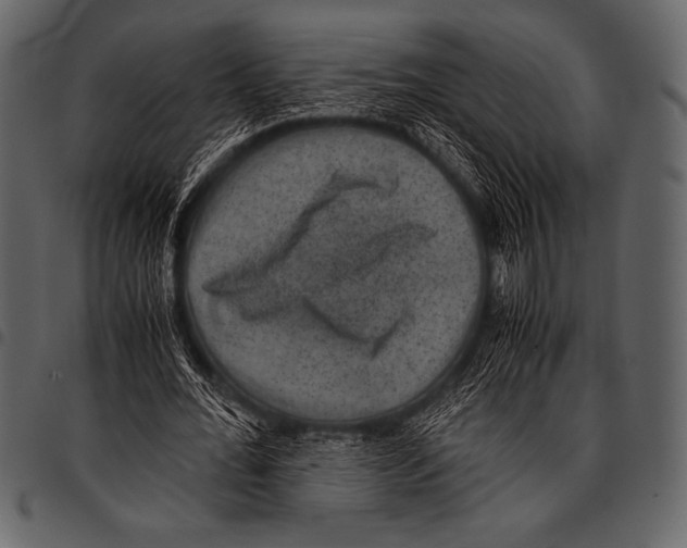 X0000097460676200803201426