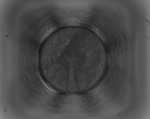 X0000097460677200803201426