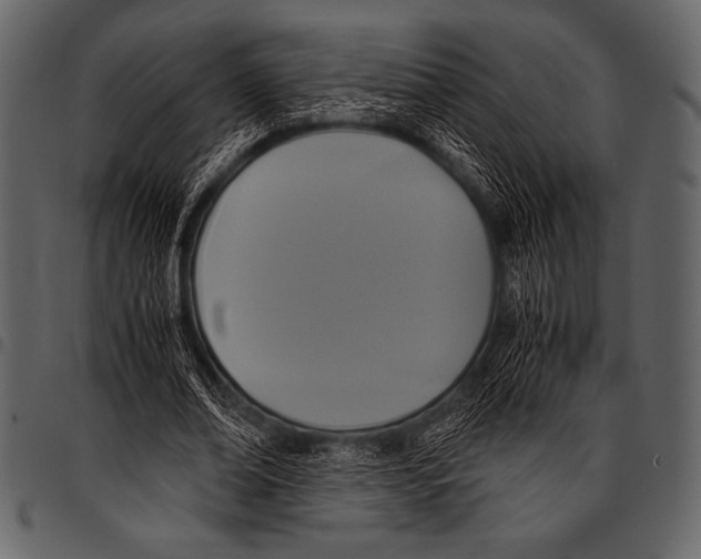 X0000097460678200803201426