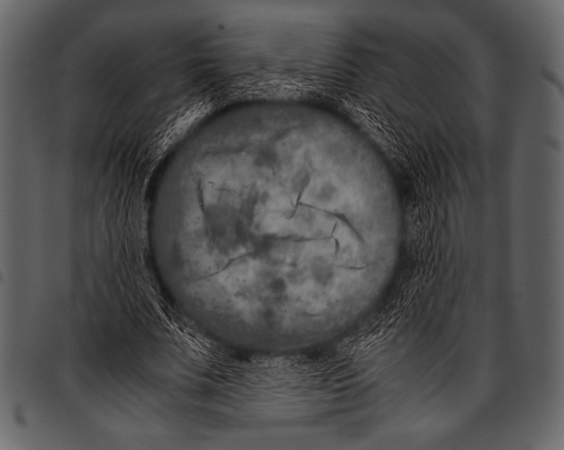 X0000097460679200803201426