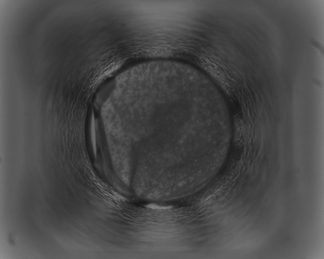 X0000097460681200803201426