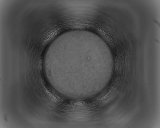 X0000097460683200803201426