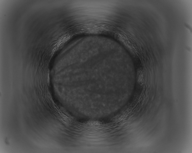 X0000097460685200803201426