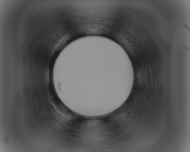 X0000097460686200803201426