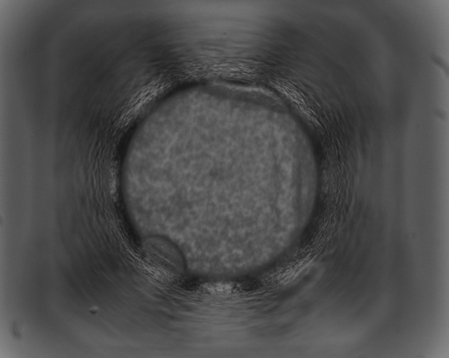 X0000097460687200803201426