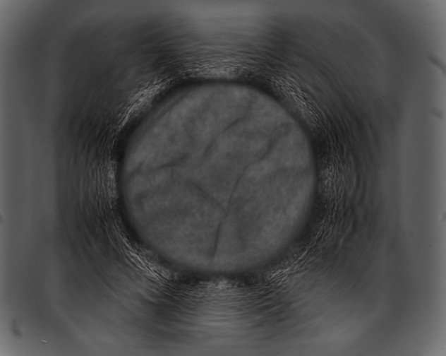 X0000097460688200803201426