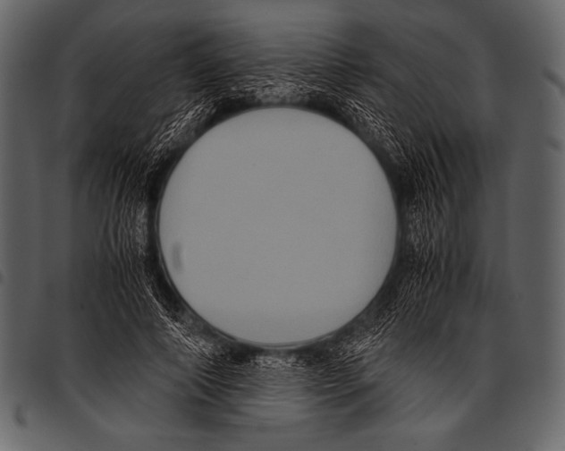 X0000097460690200803201426