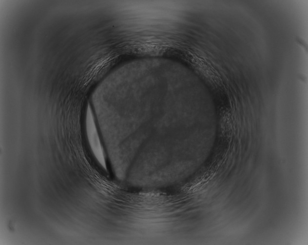 X0000097460693200803201426