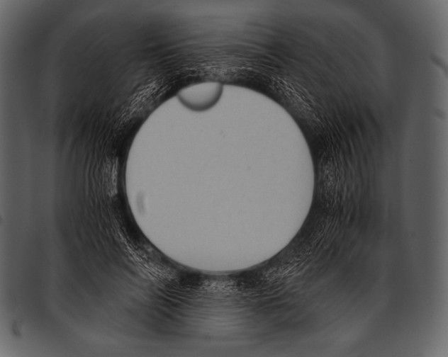 X0000097460694200803201426