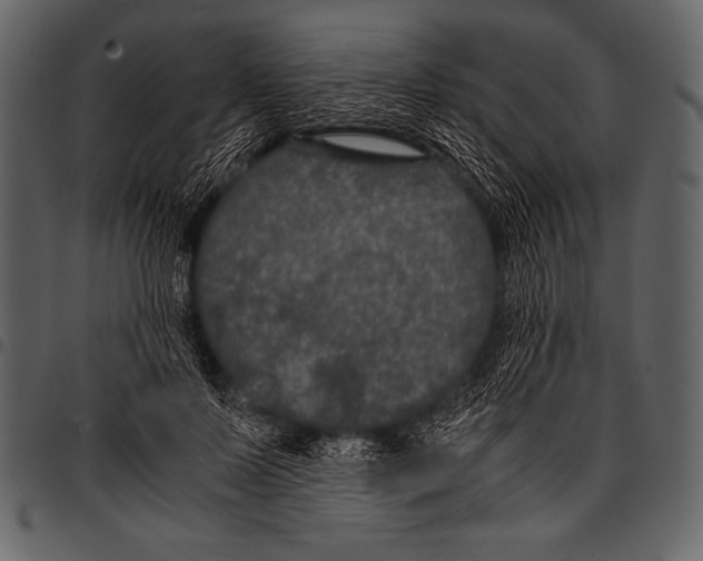 X0000097460695200803201426