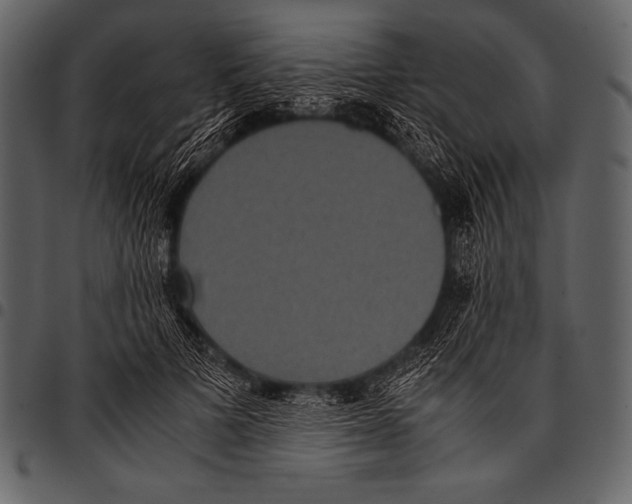 X0000097460697200803201426