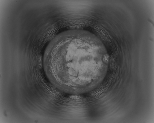 X0000097460699200803201426