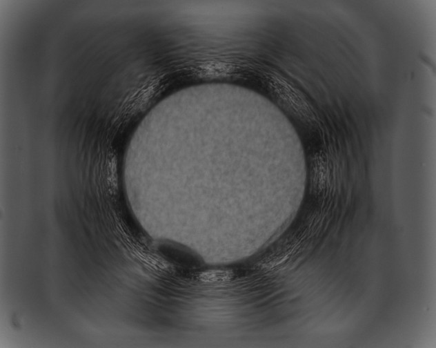 X0000097460700200803201426