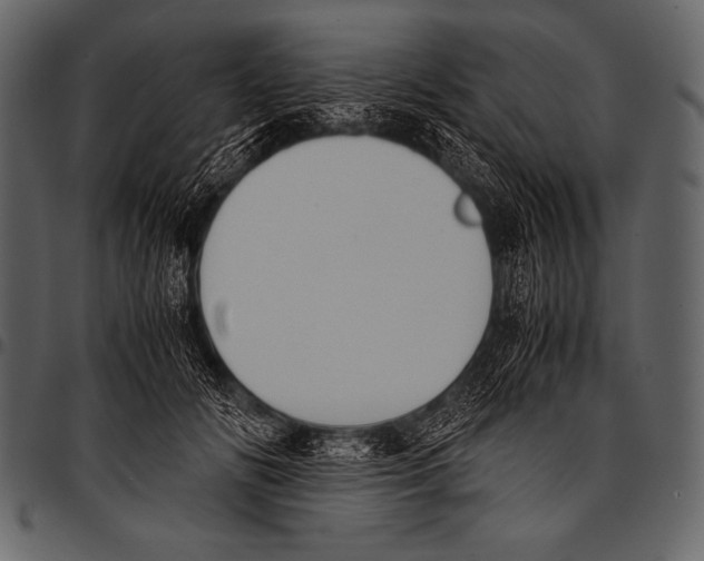 X0000097460702200803201426