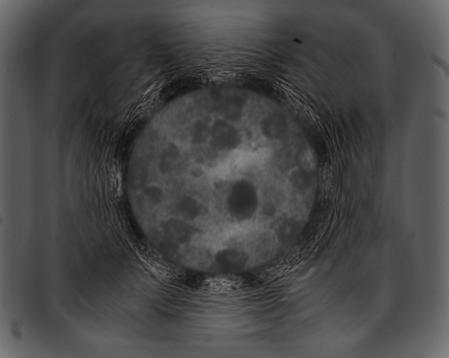 X0000097460703200803201426