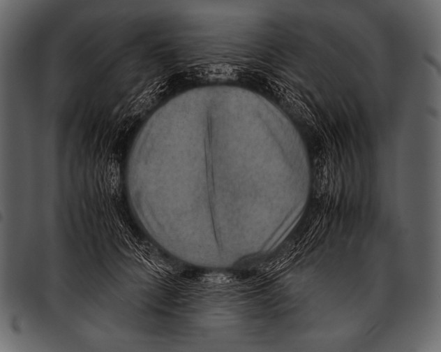 X0000097460704200803201426